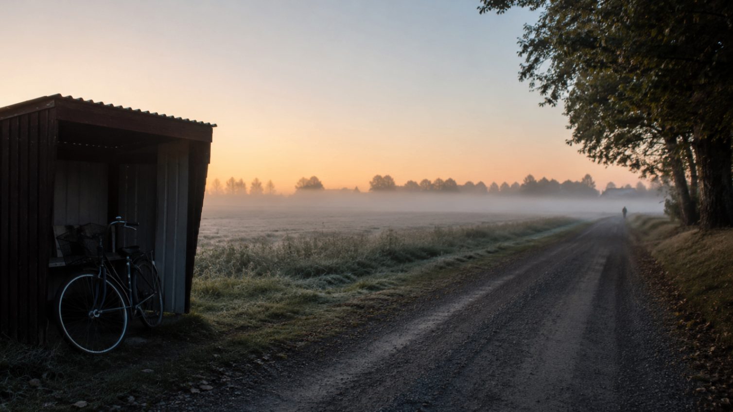Skolvägen en tidig morgon, med ljuset på väg upp över skolbyggnaden