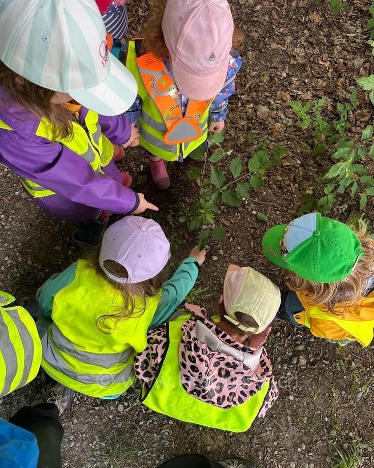 Förskolebarn sitter på huk och undersöker växter i skogen